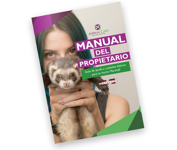 manual-1